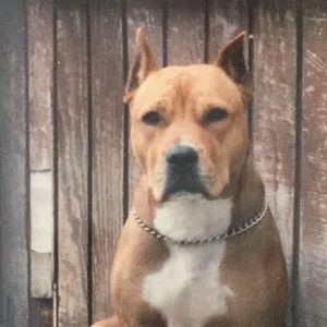 Meet your Posher, Tim